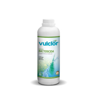 BACTERICIDA (1 L)