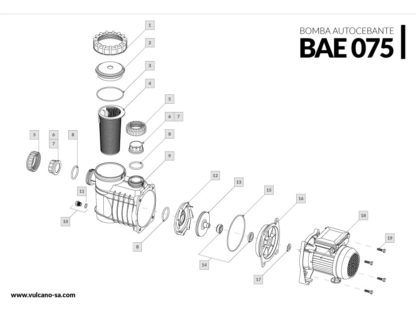 ELECTROBOMBA AUTOCEB. BAE 0.75HP 220V-50HZ - Image 3